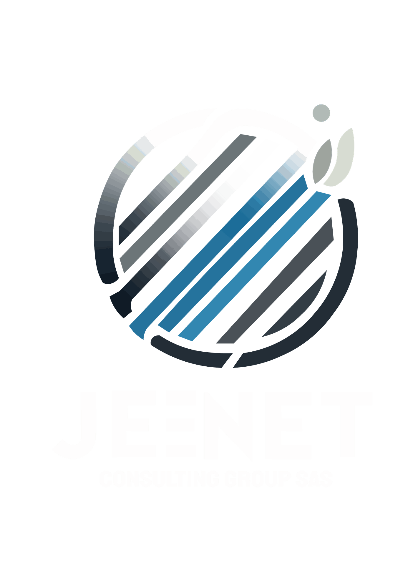 Jeenet Consulting Group SAS